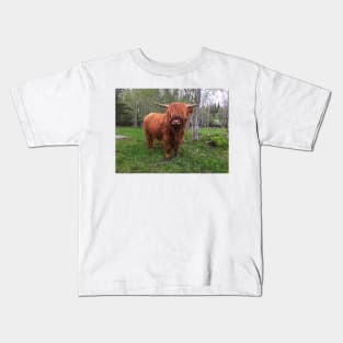 Scottish Highland Cattle Calf 2004 Kids T-Shirt